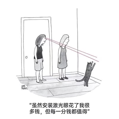 一幅黑白漫画，描绘了两个女人站在房间里，其中一个女人的眼睛发射出红色激光束，照向一只抬起爪子试图捕捉激光的黑猫。画面下方配有文字："虽然安装激光眼花了我很多钱，但每一分钱都值得"。这是一个幽默场景，展现了人们为逗宠物开心所做的有趣投资。