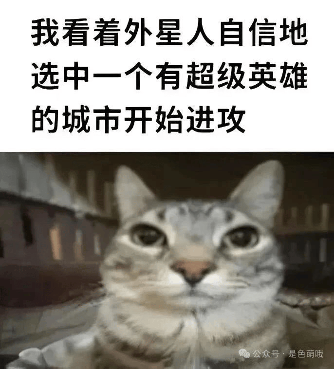 灰色虎斑猫