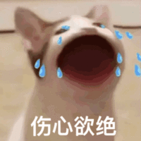 POP猫