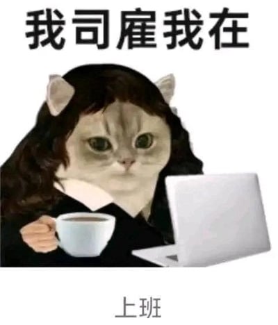 这是一张经过P图改编的职场自嘲表情包，将真实猫咪的脸部与穿着职业装的人类身体合成在一起，猫咪“化身”打工人坐在笔记本电脑前，一只手端着咖啡杯，搭配上下分栏的文字“我司雇我在”“上班”，用戏谑的方式展现打工人上班时的无奈状态，没有双关、谐音梗等特殊内容，直白调侃职场日常。