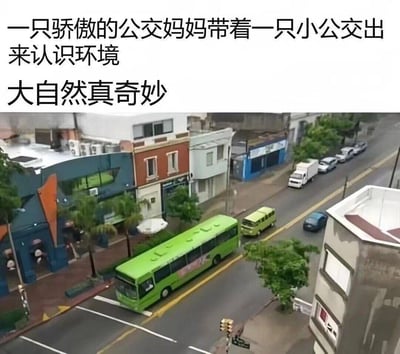 这是一张从高处拍摄的城市街景照片，画面里一辆大型绿色公交停在路边，后方紧跟着一辆同色系的小型面包车，二者的颜色和前后位置巧合形成了类似母子出行的视觉效果。网友为这张图配上了「一只骄傲的公交妈妈带着一只小公交出来认识环境 大自然真奇妙」的趣味文字，用拟人化的方式将车辆调侃成母子，制造出强烈的反差感和搞笑效果，仿佛是动物妈妈带领幼崽探索世界的场景，十分有趣。