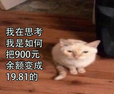 一只白色的猫咪坐在木地板上，表情看起来有些困惑和沉思。图片左侧有一行黑色文字："我在思考 我是如何 把900元 余额变成 19.81的"，表达了对金钱快速减少的困惑和不解。猫咪的表情与文字内容形成有趣的呼应，幽默地表现了人们对不知不觉中花光钱的无奈感受。