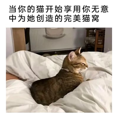 这是一张顶配底文的趣味萌宠梗图，上方是黑色的配文文字，下方为实拍的居家场景图：一只佩戴项圈的虎斑猫惬意地半眯着眼，窝在主人睡过留下的白色被褥凹陷处，神态十分满足，背景可见暖气片、木质家具等普通居家陈设。内容精准还原了养猫人士常会遇到的有趣经历，很容易引发养猫群体的共鸣。