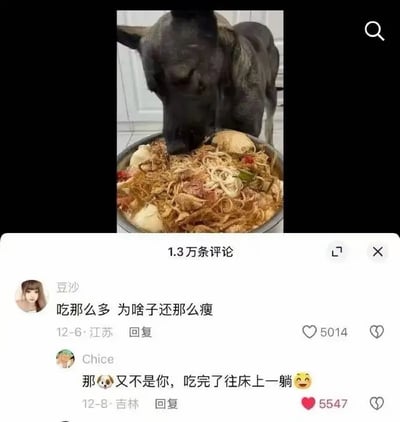 这是一张社交媒体评论截图，图片上半部分是一只黑色的狗低头正在吃满满一大盆混合了面条、馒头等食物的餐食，下半部分展示了两条网友评论：第一位ID为“豆沙”的网友留言提问“吃那么多 为啥子还那么瘦”，第二位ID为“Chice”的网友回复扎心吐槽“那🐶又不是你，吃完了往床上一躺😆”，这个评论暗戳戳吐槽当代人吃完就久坐躺平不运动，容易发胖的现状，戳中了很多普通肥胖人群的痛点，这条吐槽回复的点赞量也高于第一条提问。