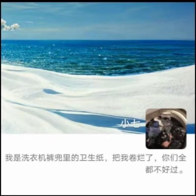 这是一张搞笑的拼贴梗图，上方是蓝白配色的海边沙滩场景，白色的沙滩被用来具象化洗衣机里被搅碎的卫生纸；右下角配有一张洗衣机内沾满卫生纸碎末的脏衣服实拍小图；下方配文以拟人的口吻写道：“我是洗衣机裤兜里的卫生纸，把我卷烂了，你们全 都不好过。”，将被误洗的卫生纸拟人化，放出“复仇”的狠话，用海边沙滩的视觉效果来调侃洗衣服时忘记取出裤兜卫生纸，导致碎末沾满衣物的生活尴尬场景，充满戏谑和搞笑的反差感。