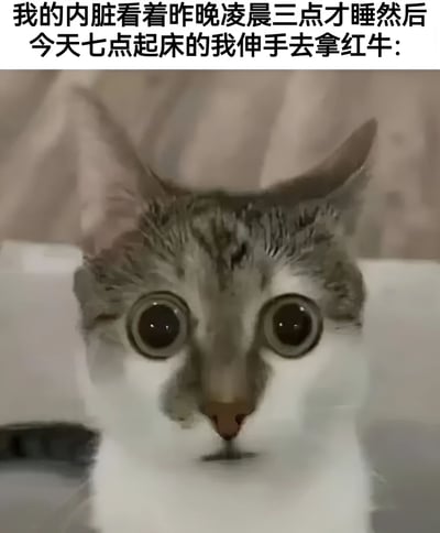 图片上方有一行文字：“我的内脏看着昨晚凌晨三点才睡然后今天七点起床的我伸手去拿红牛:”，下方是一只表情极度震惊的猫咪特写。猫咪有着圆圆的大眼睛，瞳孔放大，耳朵竖起，表情生动地展现出震惊和难以置信的情绪。这张图通过拟人化的手法，用猫咪的震惊表情幽默地表现了当一个严重睡眠不足的人试图通过喝红牛来提神时，身体内脏可能会有的“震惊反应”。