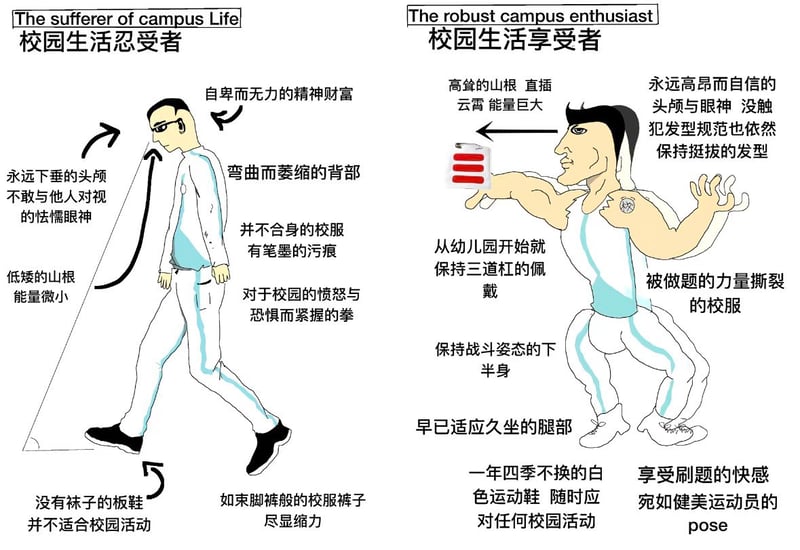 校园生活对比梗图