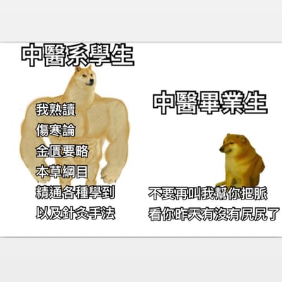 这是一张左右对比的搞笑表情包，左侧是一只肌肉发达的柴犬，标题为"中医系学生"，旁边文字写着"我熟讀傷寒論、金匱要略、本草綱目、精通各種學到以及針灸手法"，展现出学生时期对中医知识的自信掌握。右侧是一只体型正常的柴犬，标题为"中医畢業生"，旁边文字写着"不要再叫我幫你把脈看你昨天有沒有尿尿了"，幽默地表现了毕业生面对亲友不合理健康咨询的无奈。通过夸张的肌肉对比和文字内容，形成强烈反差，调侃了理论学习与实际工作的差距。