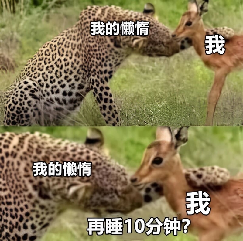 羚羊