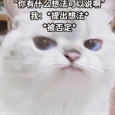 一张近距离拍摄的白猫特写，猫咪眼神略带迷茫和无奈，背景模糊。图片上方叠加文字：'你有什么想法可以说啊'，下方文字为'我: *提出想法* *被否定*'，生动展现了人们在提出建议后却被轻易否定的无奈场景，带有幽默自嘲的意味。