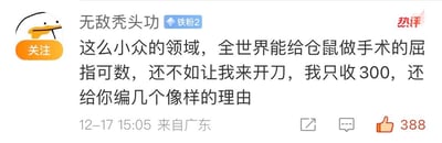 这是一张微博平台的热评截图，用户「无敌秃头功」（带有「铁粉2」标识）于12-17 15:05从广东发布评论，内容为调侃给仓鼠做手术是小众领域，全世界能进行该手术的人屈指可数，自称可以来开刀，仅收取300元，还会编几个像样的理由。这条评论获得了388个点赞，右上角带有「热评」标识，头像为一只表情冷漠的卡通鸭子。整体内容以幽默戏谑的方式吐槽小众宠物医疗相关的情况，没有双关、谐音梗或暗示内容。