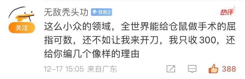 卡通鸭子