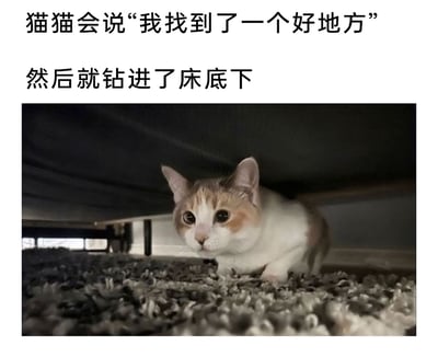 这是一张图文混排的静态图片，上方配有两行拟人化趣味文字，第一行写着“猫猫会说‘我找到了一个好地方’”，第二行是“然后就钻进了床底下”；下方为实拍照片，一只白棕相间的猫咪蹲在床底的深灰色毛绒地毯上，猫咪眼睛圆睁，神情警觉又带着好奇，身体蜷缩在狭窄昏暗的床底空间中，生动展现出猫咪偏爱狭小隐蔽空间作为“安全小天地”的典型习性，整体内容充满治愈感，记录了宠物日常的可爱瞬间。
