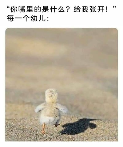 这是一张贴合幼儿日常的搞笑梗图，上方配文模拟长辈或老师的质问话语：“你嘴里的是什么？给我张开！”，并标注“每一个幼儿：”，下方配图是一只毛茸茸的雏鸟背对着镜头，迈开小短腿快速跑动，将幼儿嘴里藏了东西被发现后，立刻逃跑躲避追问的状态生动地展现出来，精准还原了幼儿调皮藏物的可爱又好笑的日常，容易引发家长群体的共鸣。