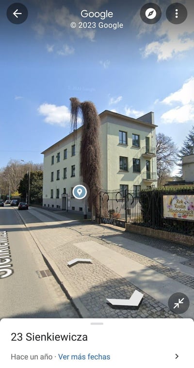 这是一张Google街景的竖屏截图，展示了地址为23 Sienkiewicza的一栋浅米色多层建筑。建筑外墙上垂下的一大丛干枯藤蔓，从拍摄角度看酷似一个人的长发“生长”在建筑上，形成了十分有趣的视觉错位效果。画面中还能看到街道上的车辆、周边的树木，右下角标牌带有波兰语文字“Rok Roślin Miododajnych 2021”，界面标注这是一年前的街景内容。