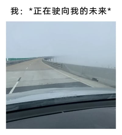 这是一张图文结合的梗图，画面为从汽车驾驶位视角拍摄的公路场景，前方是延伸至浓雾中的桥梁公路，浓雾完全遮挡了公路尽头的视野，路况未知。画面上方配有文字“我：*正在驶向我的未来*”，用公路驶入浓雾、前路模糊的视觉效果，隐喻当代人对未来的迷茫心态——看似在朝着未来的方向前进，但未来的具体模样完全不可见，充满了不确定性，以幽默调侃的方式抒发对人生未来的迷茫情绪。