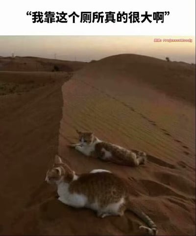 图片展示了两只猫趴在类似沙漠沙丘的地形上，利用视觉错位效果营造出猫咪体型极小的错觉。上方文字“我靠这个厕所真的很大啊”揭示了真相——这其实是一个非常大的厕所，而不是沙漠景观。这种视觉错位梗通过环境相似性制造认知反差，产生幽默效果。