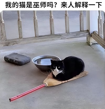 图片展示了一只黑白相间的猫正躺在一把扫帚上，旁边放着一个金属水盆和一个黑色物体，背景是带有木质栏杆的门廊地面。图片上方配有文字“我的猫是巫师吗？来人解释一下”，通过猫与扫帚的组合，幽默地联想到巫师的经典形象，营造出诙谐有趣的氛围。