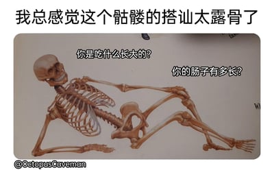 这是一张充满趣味双关的搞笑梗图，顶部配文“我总感觉这个骷髅的搭讪太露骨了”点出核心笑点。图中是一幅写实风格的骷髅插画，骷髅以放松的斜躺姿势呈现，面带笑意神态轻浮，旁边配有两句它的搭讪话语：“你是吃什么长大的？”“你的肠子有多长？”。这里的双关梗在于“露骨”一词，既指骷髅本身没有皮肉只剩骨头的生理特征，又形容它的搭讪问题直接涉及人体内部器官，过于直白、毫无遮掩，用骷髅的特性巧妙结合搭讪场景，制造出荒诞又好笑的效果。