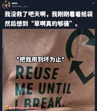 这是一张推特（X）平台的社交媒体截图，内容分为上下两部分：上方是用户laine（@female_son）的发文，她调侃自己“没救了”，表示看到一个环保纸袋时，把纸袋上的英文标语“REUSE ME UNTIL I BREAK.”的发音脑补成了中文“草啊真的够强”，制造出趣味谐音梗；下方是该环保纸袋的实拍图，纸袋上印有循环回收标志和英文标语“REUSE ME UNTIL I BREAK.”，同时有中文加注“*把我用到坏为止*”来解释这句英文标语的原意。左下角还有“翻译:ProfessorMoody”的水印，负责将英文内容和网友的发文进行翻译呈现。这个趣味内容的核心是英文句子的发音与中文句子的谐音巧合，属于生活中发现的脑洞趣味，容易引发网友的共鸣和笑点。