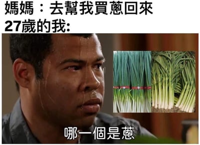 这张网络梗图采用图文结合的形式，顶部文字说明场景：妈妈吩咐27岁的孩子出门买葱；配图用了美国喜剧《基和皮尔》中角色满头大汗、神色慌张困惑的经典表情包，旁边并列摆放了葱和蒜苗的实物图，底部配文“哪一个是葱”，生动调侃了当代很多年轻人缺乏基础生活常识，难以区分外观相似的常见蔬菜的普遍状况，笑点贴近大众生活，容易引发共鸣。