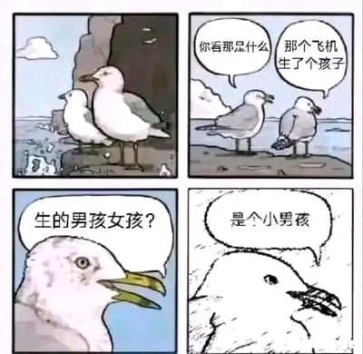这是一幅四格连环搞笑漫画，采用拟人化的手法创作。第一格展示了两只海鸥站在海边的岩石上，背景是海洋和悬崖；第二格中，两只海鸥看向空中，其中一只发问“你看那是什么”，另一只脑洞大开地回答“那个飞机生了个孩子”，这里的“孩子”实际是从飞机上跳伞的人，海鸥将跳伞者和飞机的关系误解为亲子关系；第三格中，另一只海鸥好奇地追问“生的男孩女孩？”；第四格中，一只海鸥一本正经地回答“是个小男孩”，画面中的形象是跳伞者的拟人化呈现，整个漫画通过海鸥荒诞的对话制造出无厘头的搞笑效果，将人类的跳伞活动用动物的视角进行荒诞解读。