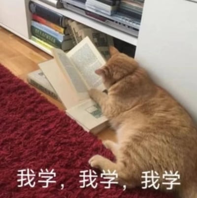 一只橘猫趴在红色地毯上，前爪按住一本翻开的旧书，脑袋低垂凑近书页，仿佛在认真阅读。身后的白色书架上堆满了各类书籍，营造出浓厚的学习氛围。图片底部配有重复的文字“我学，我学，我学”，幽默地赋予猫咪努力学习的拟人化场景，展现出一种可爱又励志的搞笑效果。