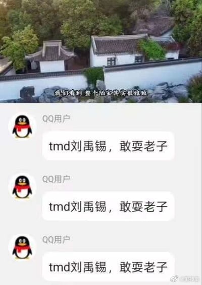 该图为上下拼接的玩梗内容，上半部分是航拍的中式白墙黑瓦古风宅院，配字幕称“我们看到 整个陋室其实很雅致”，下半部分是QQ聊天界面，同一名QQ用户连续三次发送吐槽内容“tmd刘禹锡，敢耍老子”。该梗来源于大众对古文《陋室铭》的固有印象：大众上学时学习《陋室铭》普遍认为刘禹锡的陋室是简陋狭小的普通住所，实际看到陋室原型后发现是环境雅致的宅院，因此产生被“欺骗”的强烈反差感，进而衍生出这类吐槽内容。