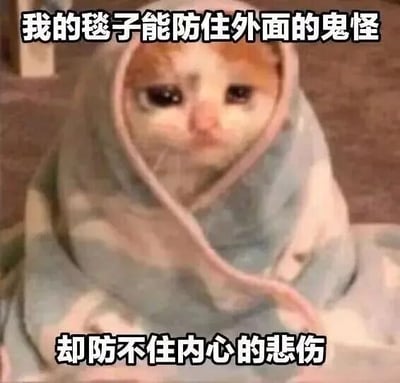 图片中是一只被蓝白相间毯子包裹的猫咪，仅露出脸部，眼神大而忧郁。图片上方配有文字“我的毯子能防住外面的鬼怪”，下方文字为“却防不住内心的悲伤”。通过猫咪用毯子物理防御外界威胁与无法抵御内心情绪的对比，营造出一种可爱又带点小伤感的幽默氛围，引发观众对内心情绪的共鸣。