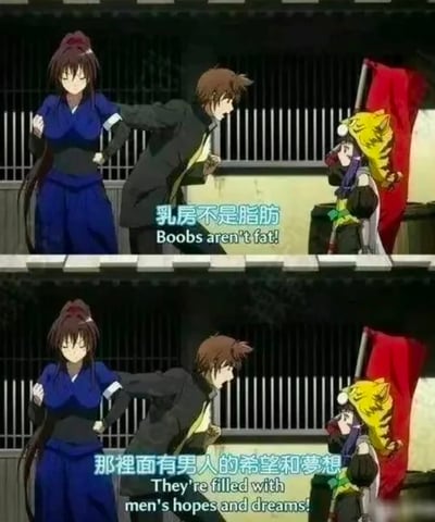 这是一张动漫截图表情包，分为上下两格。画面中男主角激动地向另一名角色解释，乳房不是脂肪，而是充满了男人的希望和梦想。这句话配合搞笑语气和正经表情，产生强烈反差，成为宅圈著名玩梗语录。该图带有明显的双关和搞笑暗示，将身体特征与理想、期望联系起来，带有轻度宅文化色彩。