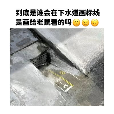 图片上方配有文字“到底是谁会在下水道画标线 是画给老鼠看的吗🤔🤔🤔”，下方是一张实拍照片，展示了一处混凝土地面的下水道区域，地面上画有黄色标线、数字“40”及白色箭头，指向排水口。图片通过幽默的文字质疑这种看似无用的标线设置，调侃其可能是“给老鼠看的”，营造出荒诞又搞笑的效果。