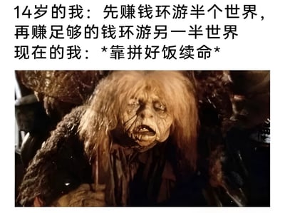 图片上半部分是文字对比：14岁的我梦想先赚钱环游半个世界，再赚足够的钱环游另一半世界；现在的我则靠拼好饭续命。下半部分是《指环王》中咕噜的憔悴剧照，形象地表现了理想与现实的巨大反差，用夸张的方式幽默展现当代年轻人从心怀远大梦想变为为基本生活奔波的无奈状态。
