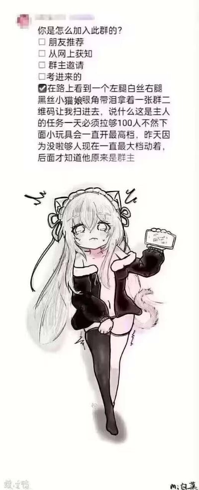 这是一张群聊相关的搞笑整活梗图，上方是群加入原因的问卷式选项，前四个为常规选项，最后一个被勾选的选项是一段离谱又带点羞耻感的整活描述：在路上遇到左腿白丝右腿黑丝的小猫娘，她含泪拿着群二维码求助，称这是主人布置的拉人任务，没完成就会被小玩具一直开最高档，最后发现这个小猫娘就是群主。下方搭配了对应描述的卡通小猫娘形象，她眼角挂泪，手持二维码，姿态委屈局促，整体用荒诞的剧情制造搞笑效果，没有双关、谐音梗等内容，主要用于群聊整活活跃氛围。