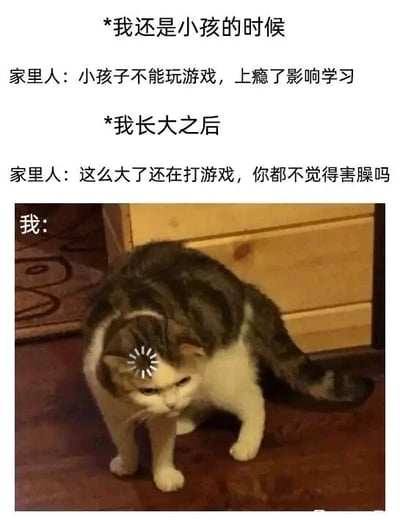 这是一张图文混排的吐槽梗图，整体分为上下文字区域和下方的猫咪图片区域。文字部分通过对比两个人生阶段家人的态度，展现了双标行为：在“我还是小孩的时候”，家人指责“小孩子不能玩游戏，上瘾了影响学习”；在“我长大之后”，家人又反过来指责“这么大了还在打游戏，你都不觉得害臊吗”。这种前后完全矛盾的要求让“我”陷入两难境地，下方搭配的是一只头顶添加了崩溃转圈特效的猫咪，猫咪垂头丧气、姿态萎靡，精准地表现出面对家人这种双标态度时，“我”内心的无奈、无语与崩溃，能够引发众多有相似生活经历的人的共鸣。