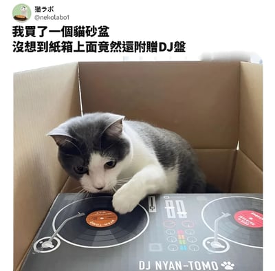 一只灰白相间的猫正坐在一个纸箱里，纸箱底部印有逼真的DJ转盘图案。猫咪用一只爪子好奇地触碰着转盘上的唱片，仿佛正在进行一场即兴的DJ表演。图片上方配有文字：'我買了一個貓砂盆 沒想到紙箱上面竟然還附贈DJ盤'，幽默地表达了主人对这个意外发现的惊喜。