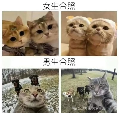 这是一张四格对比梗图，通过动物形象幽默展现女生和男生合照风格的差异。上半部分标题为'女生合照'，包含两张图片：左侧是两只戴着蝴蝶结的猫依偎在一起，表情可爱；右侧是两只戴着黄色帽子的猫并排站立，表情呆萌。下半部分标题为'男生合照'，同样包含两张图片：左侧是一只表情惊讶的灰猫在前景自拍，背景有两只罗威纳犬；右侧是一只表情淡定的灰猫在前景自拍，背景有三只狗在奔跑。整体通过动物的不同表现方式，夸张地对比了女生合照的精致亲密与男生合照的随意自然。