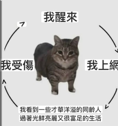 整张图为浅灰色背景，中心是一只短腿狸花猫的实拍图，猫咪表情平淡麻木，正视前方。猫咪周围沿顺时针方向排列有黑色箭头组成的闭环，箭头旁对应标注四组中文文字：最上方是“我醒来”，右侧是“我上网”，最下方是“我看到一些才华洋溢的同龄人过著光鲜亮丽又很富足的生活”，左侧是“我受伤”，四个环节箭头首尾相连形成无限循环，生动调侃了当代年轻人上网时看到同龄人优质生活后产生自我焦虑、陷入精神内耗的反复状态。