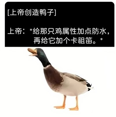 图片上方为黑色文字框，标题为“[上帝创造鸭子]”，下方配有上帝的幽默对话：“给那只鸡属性加点防水，再给它加个卡祖笛。”。文字框下方是一只真实鸭子的照片，鸭子头部黑色，胸部棕色，身体白色，正张嘴站立在白色背景前。整体通过拟人化手法，将鸭子的防水特性和叫声幽默比喻为上帝对鸡的“属性改造”，带有明显的搞笑诙谐风格。