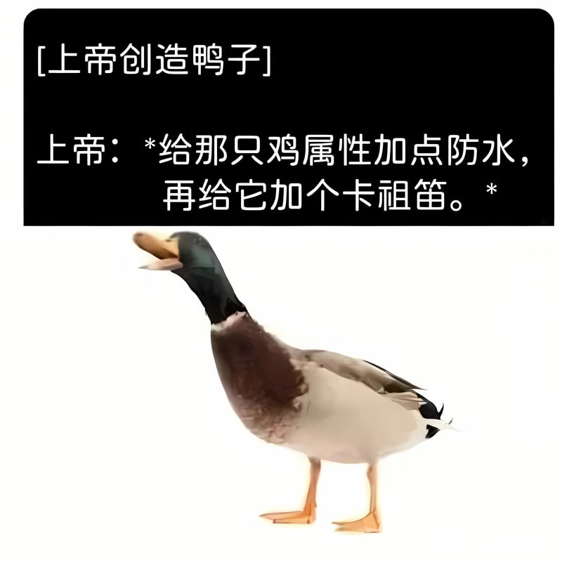 鸭子
