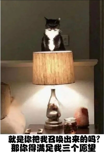 一只黑白相间的猫正端坐在台灯的灯罩上，表情严肃地向下看，仿佛在审视下方。图片底部配有文字："就是你把我召唤出来的吗? 那你得满足我三个愿望"。这张图片通过将猫置于台灯之上的有趣构图，幽默地模仿了神话中灯神被召唤的场景，创造出一种猫咪扮演灯神的滑稽效果。