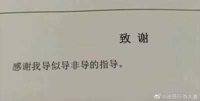 这是一张毕业论文致谢页面的扫描图，页面上方是标题“致谢”，下方写着“感谢我导似导非导的指导”。这句话用“似导非导”的委婉表述，阴阳怪气地吐槽导师在论文写作过程中没有提供有效的实质性指导，表面是致谢，实则暗含对“放养式”指导的不满，精准戳中了不少有类似经历的学生的心声。