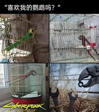这是一张由四格图片拼接而成的搞笑梗图，顶部配文「喜欢我的鹦鹉吗？」引导观看者。四格图分别展示了不同的创意：左上是黄绿配色的扳手卡在鸟笼中，模仿鹦鹉的形态；右上是红白配色的工具放置在鸟笼里；左下是红白钳子置于鸟笼内；右下则是将钳子和扳手摆放在一起，组成鹦鹉的外形。整张图利用日常工具的外形与鸟笼结合，通过视觉错位制造出「工具变鹦鹉」的荒诞反差感，充满了整活的趣味，让人忍俊不禁。左下角还带有《赛博朋克2077》的水印，属于额外的趣味元素。