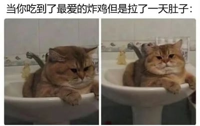 图片为左右拼接的两张静态图，上方配有文字“当你吃到了最爱的炸鸡但是拉了一天肚子：”。左侧图中橘猫趴在白色洗手池边缘，头微微低下，眼神略显疲惫，仿佛刚经历不适；右侧图中同一只橘猫姿势放松些，前爪搭在洗手池边，表情无奈又带点生无可恋，完美诠释了享受美食后身体不适的矛盾心情。整体通过猫咪的神态变化幽默展现了“美食诱惑与身体代价”的生活趣事。