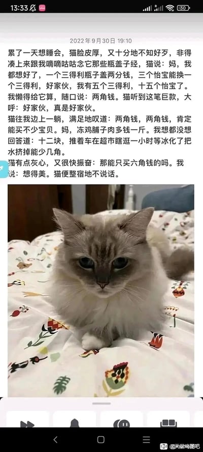 这是一则图文结合的趣味社交内容，上方是一段拟人化的原创文字，讲述了主人与家中猫咪的搞笑互动：猫咪攒了5个三得利瓶盖和15个怡宝瓶盖，兴奋地跟主人算自己的“身家”，主人随口算出是两角钱，猫咪对这笔“巨款”十分满足，随后询问冻鸡脯肉的价格，得知单价后，猫咪提出想只买六角钱的肉被主人拒绝，便整宿不再说话。下方搭配一张实拍的猫咪照片，猫咪眼神低落、蔫蔫地趴在带有植物图案的床品上，完美呼应了文字里猫咪被拒绝后的失落状态，将猫咪塑造成一个一心攒钱买肉的小可怜形象，充满生活化的温馨与趣味，让人忍俊不禁。