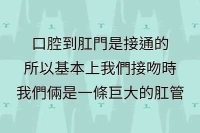 这是一张顶配底文式的图文混排搞笑梗图，背景是浅青色调的重复排列的卡通猫咪图案，猫咪表情冷漠，以平铺的方式作为画面底色。前景用醒目的黑色字体呈现三段逻辑荒诞的文字：“口腔到肛门是接通的 所以基本上我们接吻时 我们俩是一条巨大的肛管”。该内容利用人体消化道的连通性，进行了离谱的脑洞联想，将情侣接吻的亲密行为用荒诞的生理结构类比来调侃，制造出无厘头的搞笑效果，没有使用双关、谐音梗等手法，纯靠离谱逻辑博人发笑。