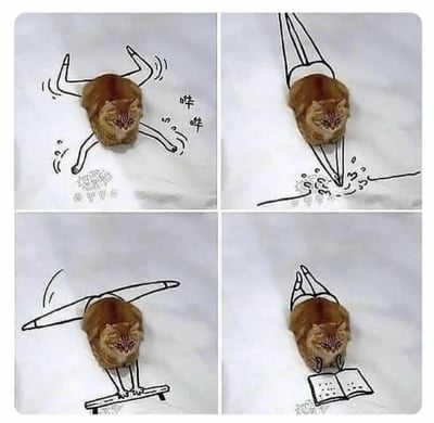这是一组由实拍橘猫结合创意简笔画制作的四格趣味图，以一只趴在平面上、神态慵懒平静的橘猫身体为基础，通过添加不同的简笔画，赋予橘猫四种不同的场景身份：第一格添加马的四肢和“咩咩”拟声词，让橘猫看起来像在骑马奔跑；第二格画出跳水绳索与溅起的水花，仿佛橘猫正在完成跳水动作；第三格绘制平衡木与体操肢体，使橘猫化身为平衡木上的体操运动员；第四格画出看书的双腿与书本，让橘猫呈现出坐着看书的状态。整组图将橘猫的静态形态与动态创意简笔画结合，制造出充满趣味的反差视觉效果。