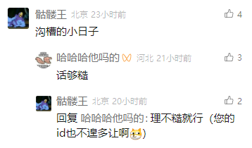 这是一张社交媒体评论区的屏幕截图，画面中展示了两位网友的趣味互动。来自北京的用户“骷髅王”发布了一条直白的评论“沟槽的小日子”，2小时后，来自河北的用户“哈哈哈哈他吗的”评论“话够糙”，随后“骷髅王”回复对方，调侃对方的ID和自己的评论一样直白，称“理不糙就行（您的id也不遑多让啊）”，整个互动过程充满接地气的趣味，评论风格直白诙谐。