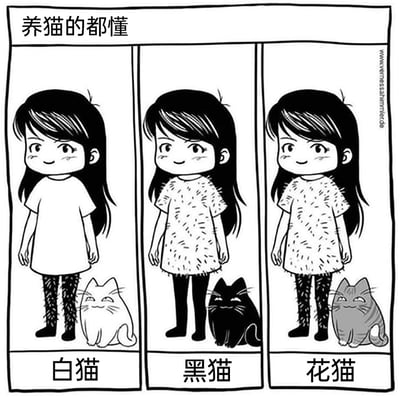 这是一幅以“养猫的都懂”为标题的连环卡通漫画，通过三个分镜生动展现养猫人被猫毛困扰的日常：第一个分镜中，白猫的白色猫毛沾满女孩的黑色裤子；第二个分镜里，黑猫的黑色猫毛沾满女孩的浅色上衣；第三个分镜中，花猫的猫毛同时沾满女孩的上衣和裤子。三个分镜精准还原了不同毛色猫咪掉毛后，主人衣物被对应颜色猫毛覆盖的真实场景，用幽默的方式引发养猫群体的强烈共鸣。