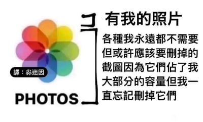 这是一张引发大众共鸣的吐槽类静态图文梗图，画面左侧是苹果系统自带的“照片（Photos）”应用的彩色花瓣样式图标，图标左侧有一个黑色标注框，内有文字“译：你迷因”；图标右侧用黑色大括号将图标与右侧的长段吐槽文字关联起来，文字内容为“有我的照片 各种我永远都不需要但或许应该要删掉的截图因为它们占了我大部分的容量但我一直忘记删掉它们”。这段文字精准戳中了许多手机用户的日常痛点：手机相册中堆积了大量无用的截图，明明知道这些截图占用了大量内存空间，却总是因为拖延症迟迟不进行清理，用幽默的方式调侃了这种普遍的手机使用习惯。