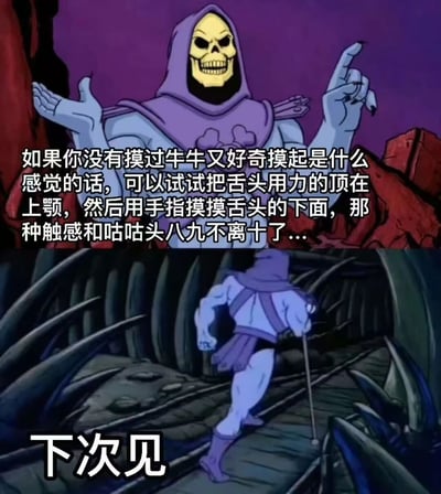 这是一张上下拼接的搞笑梗图，使用了动画《宇宙的巨人希曼》中骷髅王角色的两个场景。上图中骷髅王做出讲解手势，配文描述了一种模拟触摸身体部位触感的方法；下图中骷髅王转身离开，配文"下次见"。整体风格幽默搞笑，通过严肃的角色形象与滑稽的内容形成反差萌。